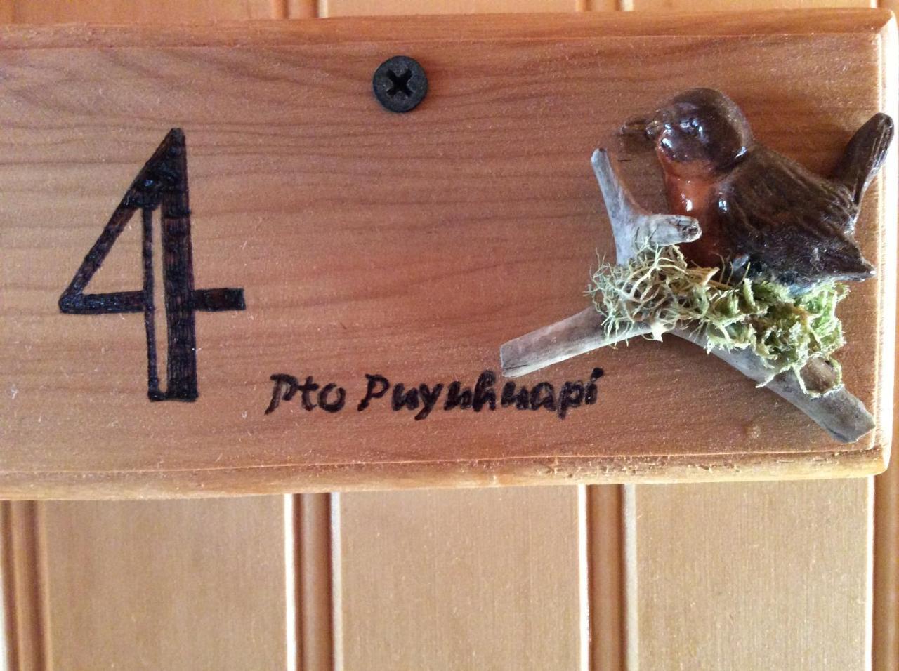 Los Manios Del Queulat Puyuhuapi Kültér fotó